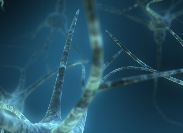 6670001783_bda24e2b48_o