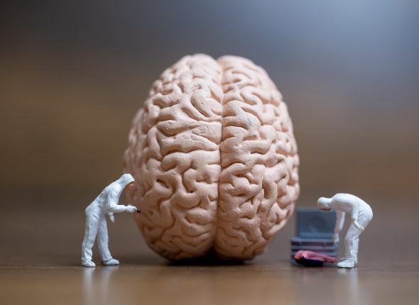 Miniature people , Scientist observing and discussing about huma