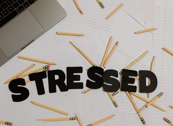 pexels-tara-winstead-8406976