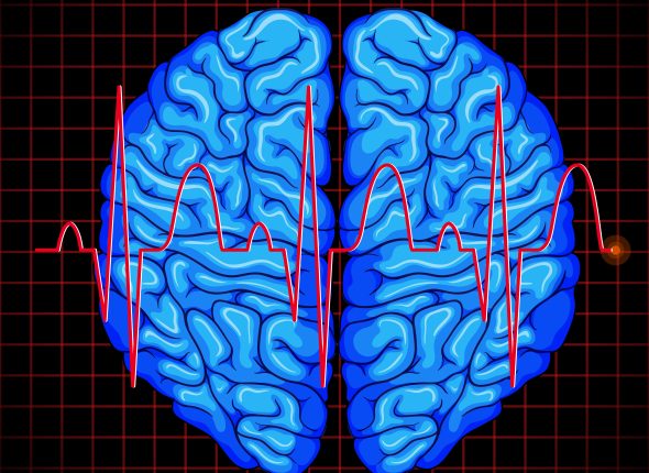 Human brain and brain graph on grids
